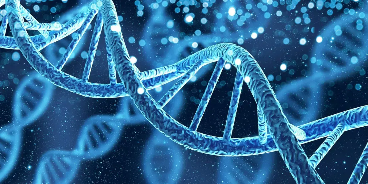 Creierul adolescenților: Risc genetic pentru consumul de canabis, înainte de primul joint