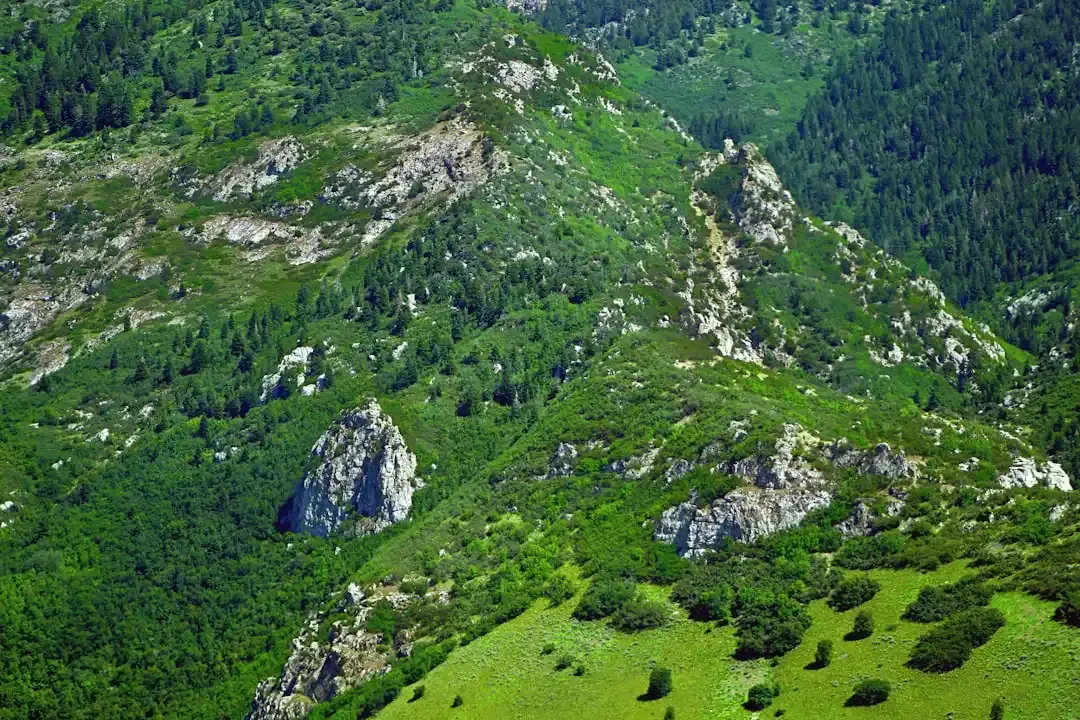 Creierul în priză: cum să-l oprim