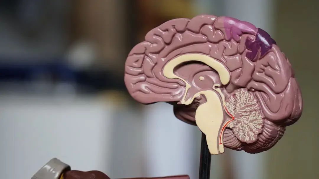Descoperire crucială în Alzheimer: Un prag celular explică demența