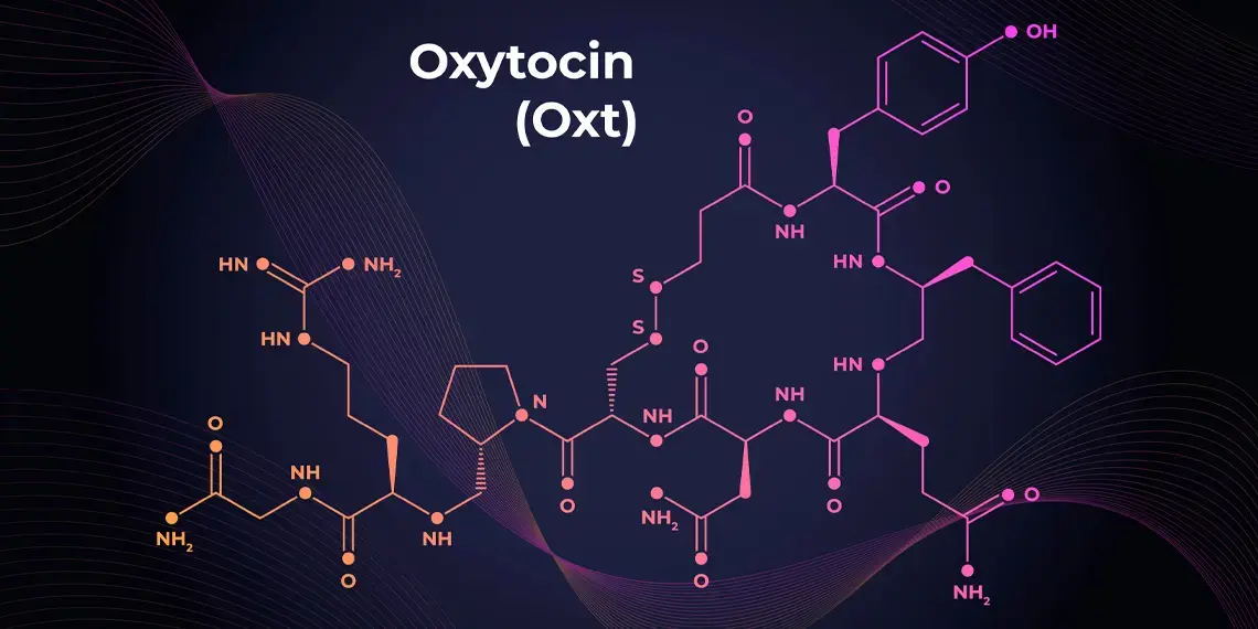 Noua cercetare arată că MDMA crește nivelul de oxitocină în timpul studiilor de terapie