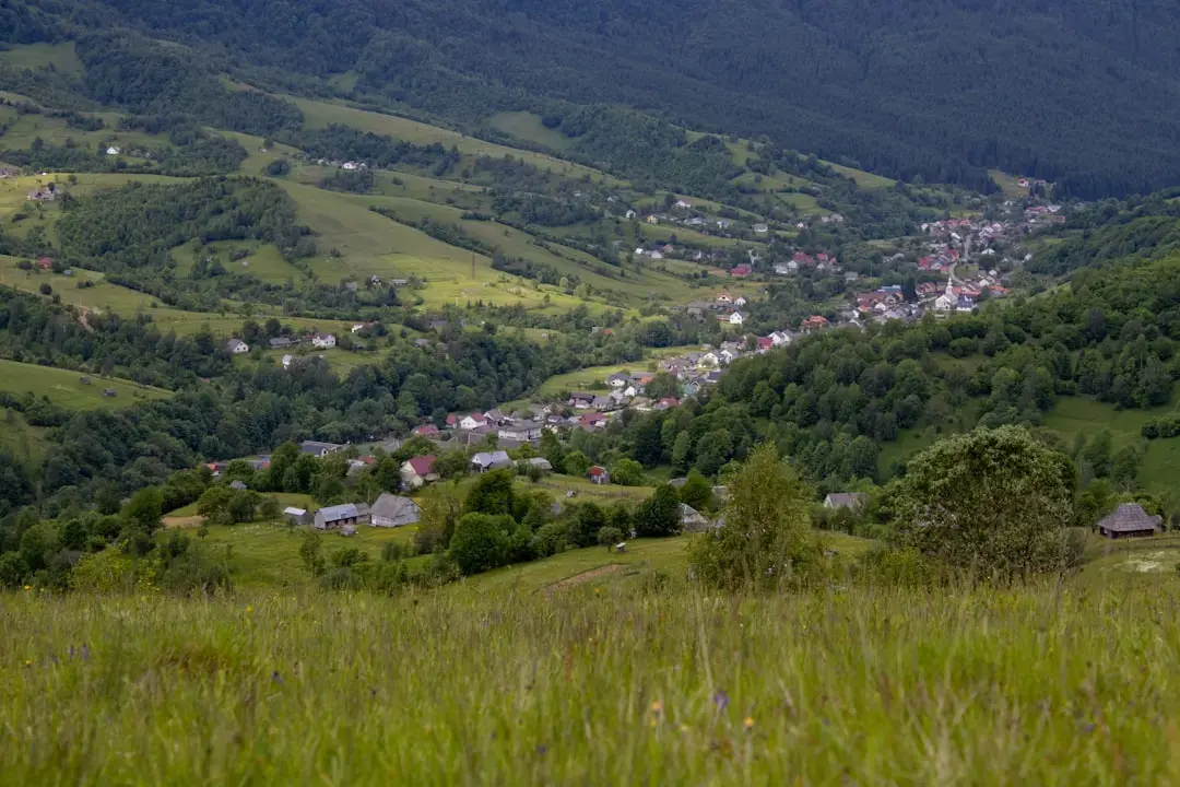 Știința unei singure sarcini: Cum se împarte atenția distruge productivitatea