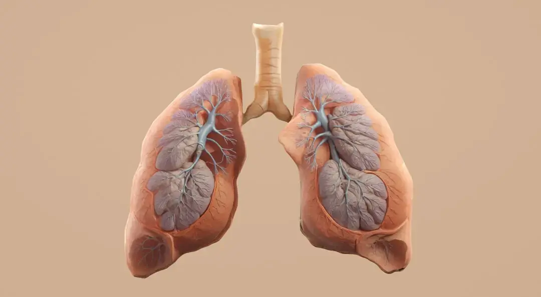 Terapia pe termen lung, soluția pentru echilibrul mental în era modernă
