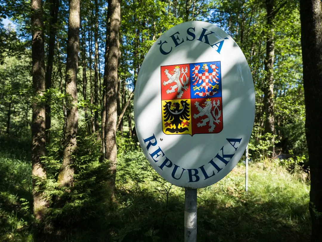 Cei care au schimbat psihiatria vin la București