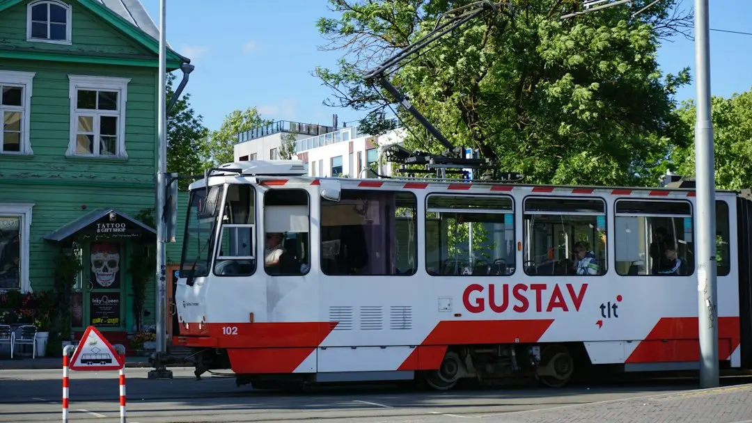 Cum să găsești liniște și bucurie ca persoană LGBTQ+
