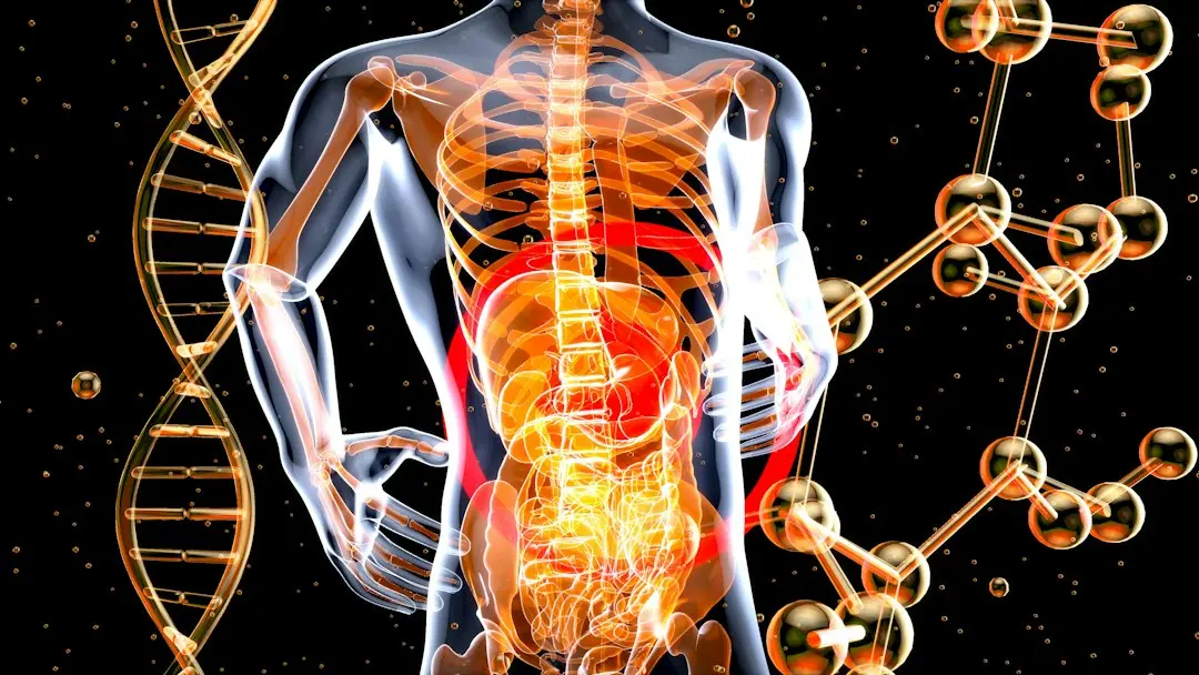 Sănătatea intestinală: cheia pentru bineestarul general
