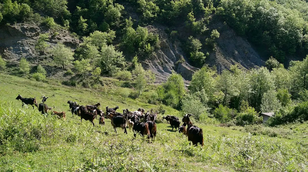 Capcana invizibilă: De ce sănătatea ta nu trebuie să fie niciodată lăsată pe planul doi